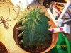 100_0294.JPG