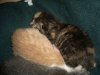 pics of mary 023.jpg