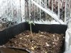 Bagseed In Pc Box Day 4 (12-6-2010).jpg