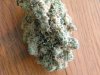 BlueDream4.jpg