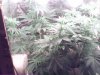 49 new cam 3.jpg