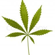 Sativa_420