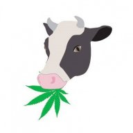 420_Graze_It