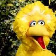 bigbird87