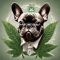 Muttgenetics