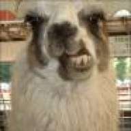 Higher Llama