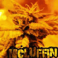 McLuffin