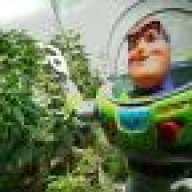 BuzzdLightyear