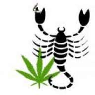 Scorpigrow