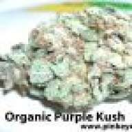 lookn4purpkushseeds