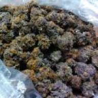 digitalpurps