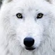 WhiteWolf1