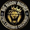 BigBuddyBushes