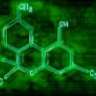 Greenscience