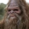 SasquatchRecon