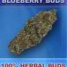 blueberryhydro420