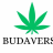 Budaverse