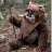 [ewok]