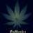 Budbonics