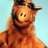 a.k.a. Alf