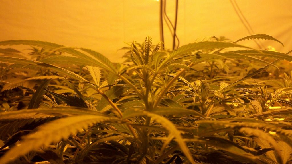 2012-01-04_20-42-27_335.jpg