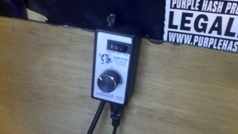 2011-09-04_17-38-13_43.jpg