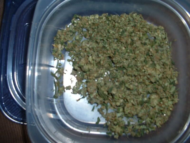 Kief005.jpg