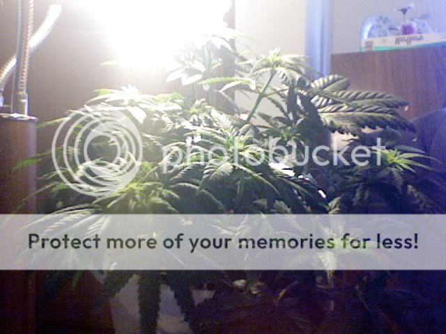 Photo114.jpg