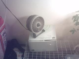 NewSetup001.jpg