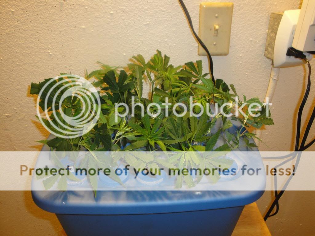 DSC02798.jpg