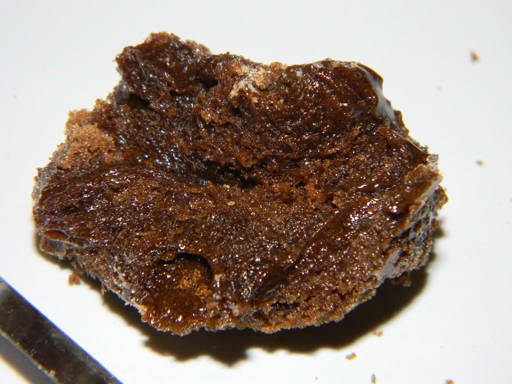 DSCN1287.jpg