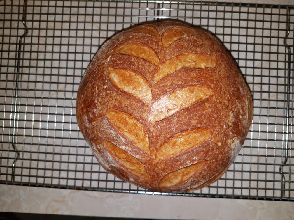 sourdoughboule.jpg