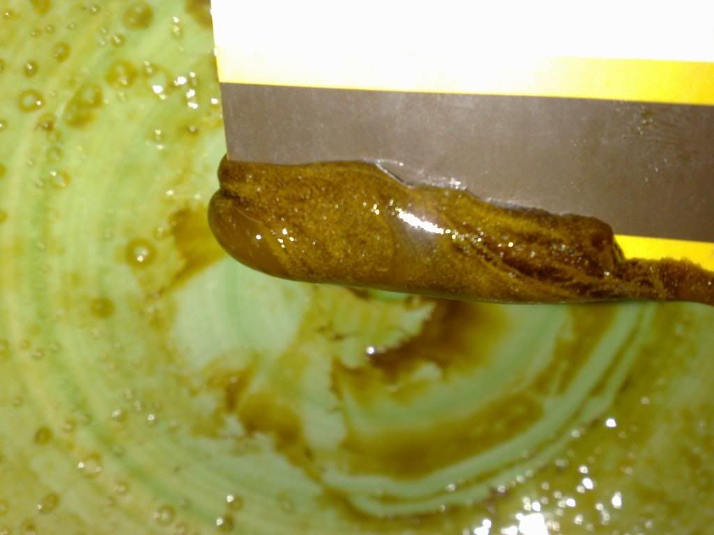 06122009845.jpg