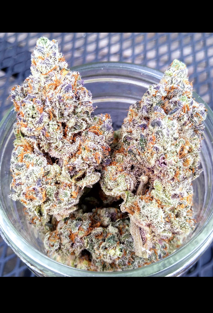 zpstrains.com