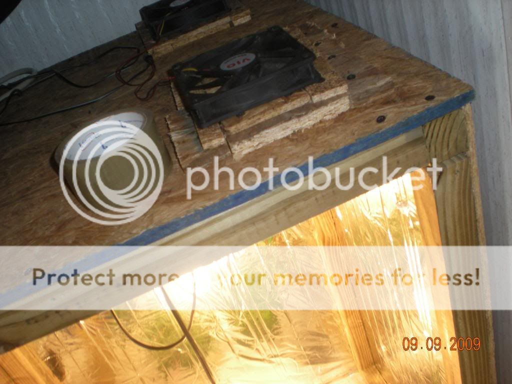 DSCN2026.jpg