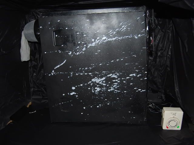SSC_0986.jpg