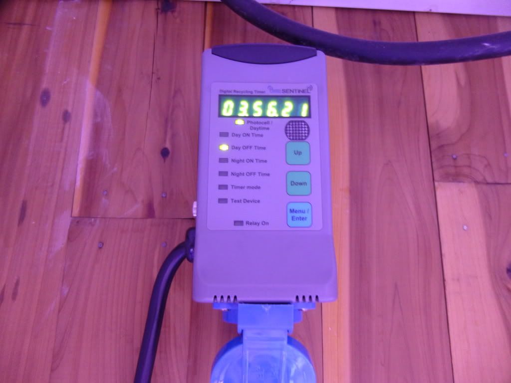P1010135_zps3ece9583.jpg