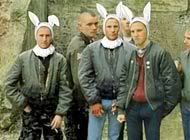 medium-skinheads-rabbit.jpg