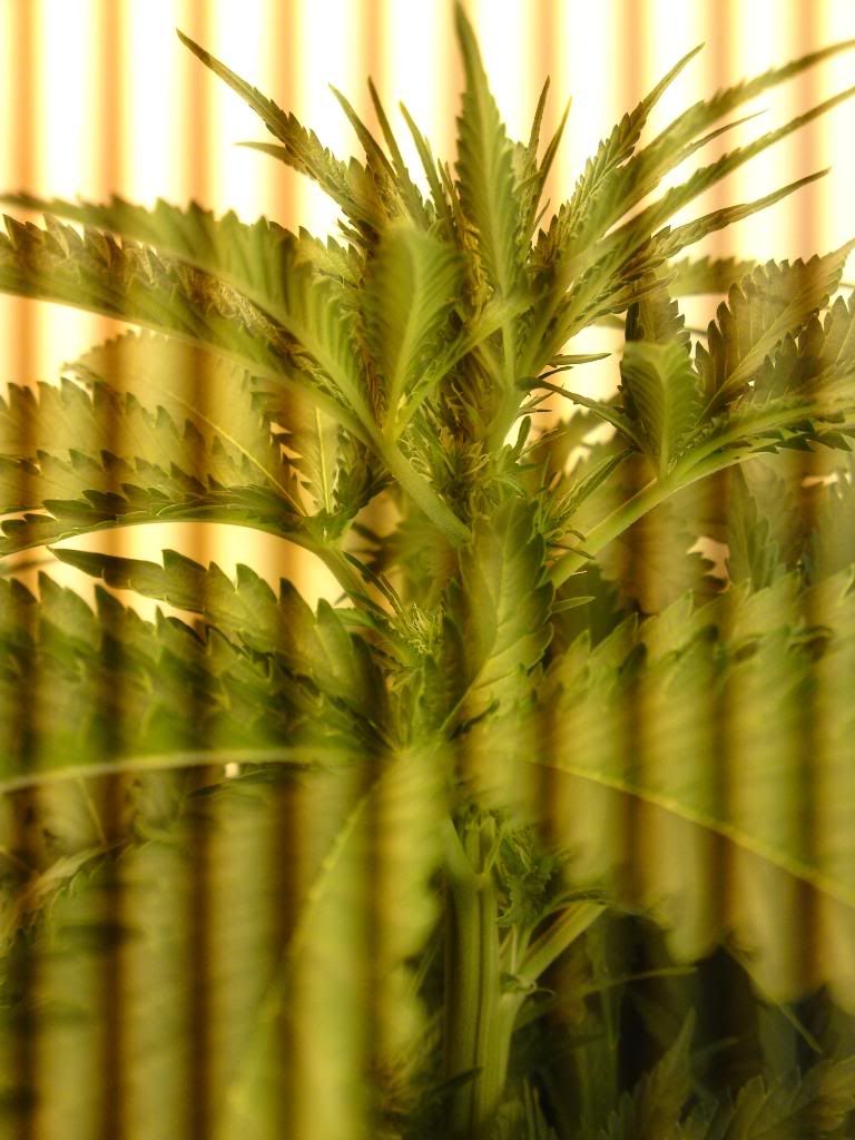 21012010183.jpg