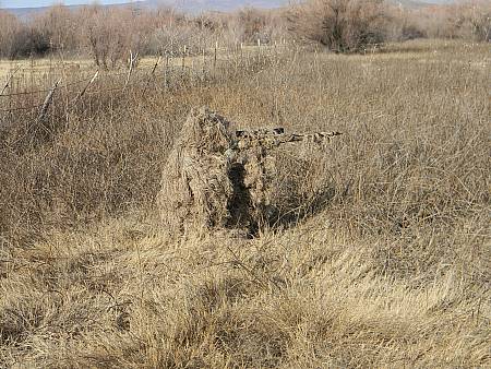 dscn0079450s.jpg