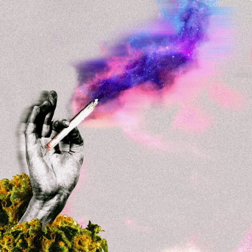tumblr_ls37kvcbRB1qmt2j3o1_500.jpg