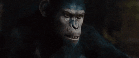 yrJ55WhtAoXVC.gif