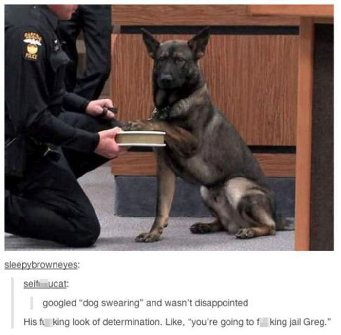 these-pictures-are-guaranteed-to-make-you-lol-1.jpg