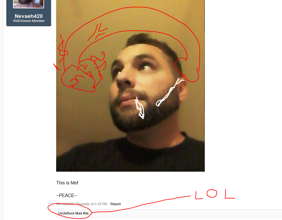 Nev_zpsd42f01ec.png