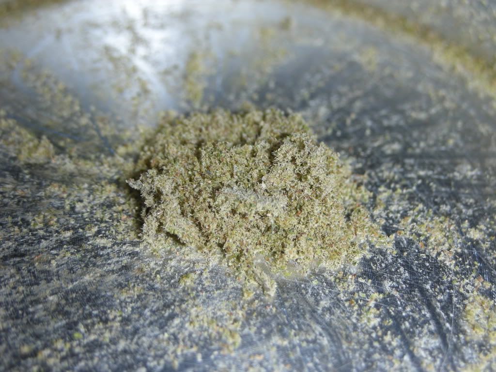 DSCN3830.jpg