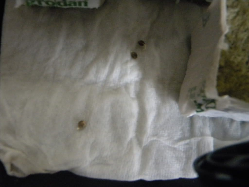 DSCN0837.jpg