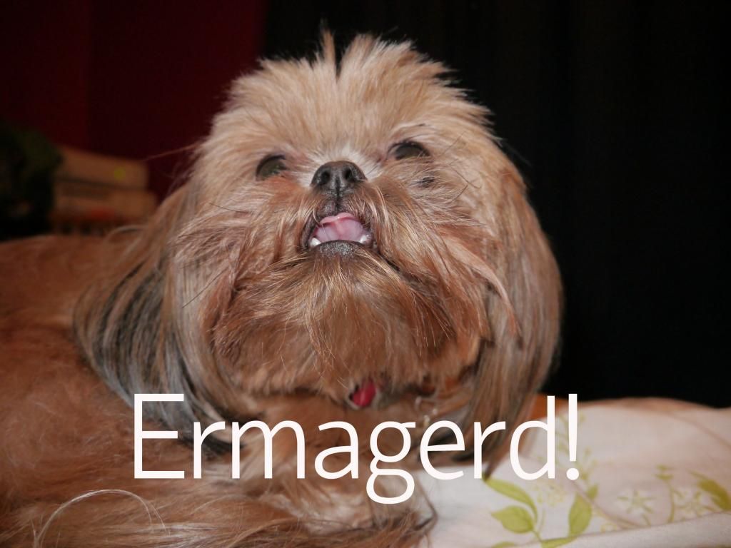 omigodpuppy.jpg