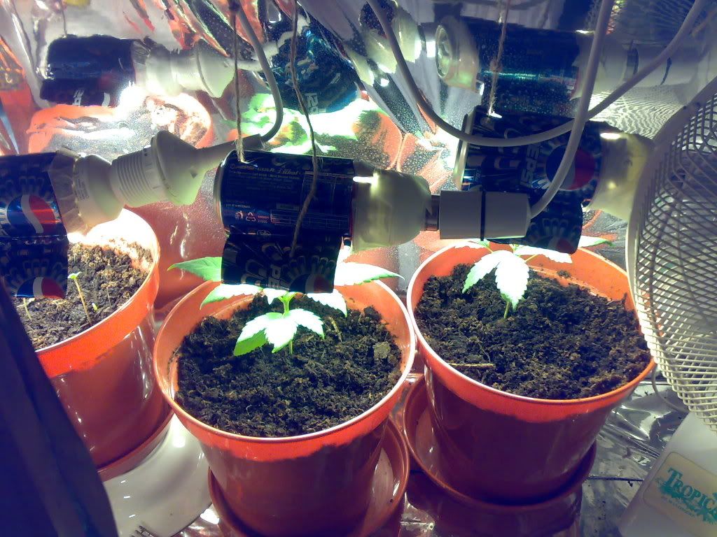15012007020.jpg