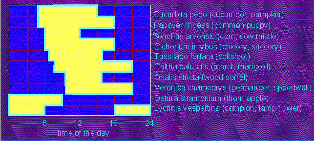 PLANTACTIVITYTIMES.gif