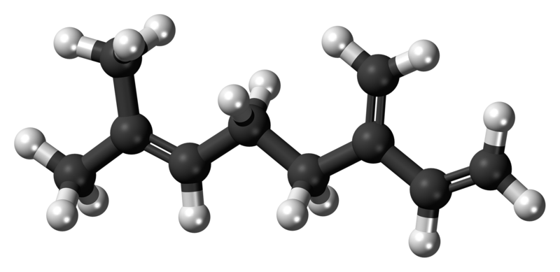 Beta-Myrcene_molecule_ball.png